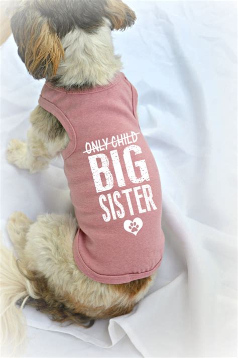 big sister dog t shirt|big sister dog outfit.